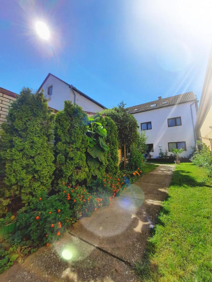 Apartmani Sunflower Сремски Карловци Екстериор снимка