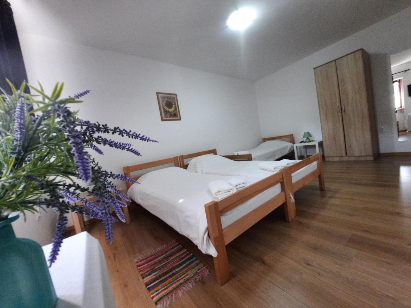Apartmani Sunflower Сремски Карловци Стая снимка